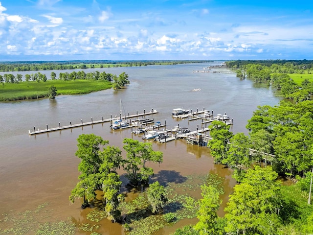 4198 Vanderbilt Blvd, Pawleys Island, SC 29585