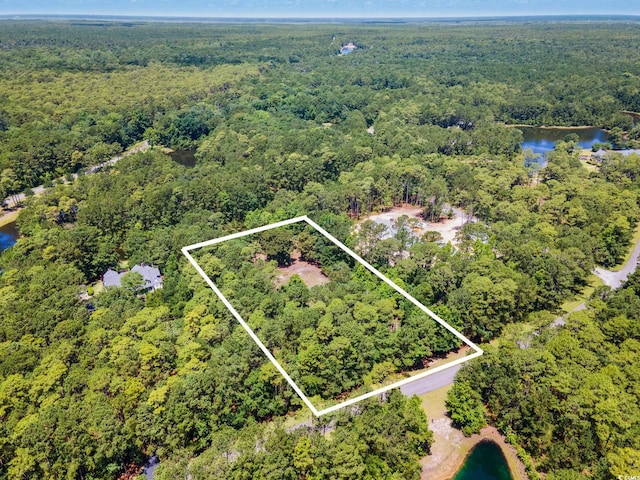 4198 Vanderbilt Blvd, Pawleys Island, SC 29585