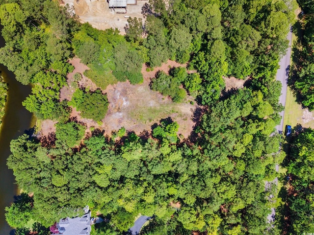 4198 Vanderbilt Blvd, Pawleys Island, SC 29585