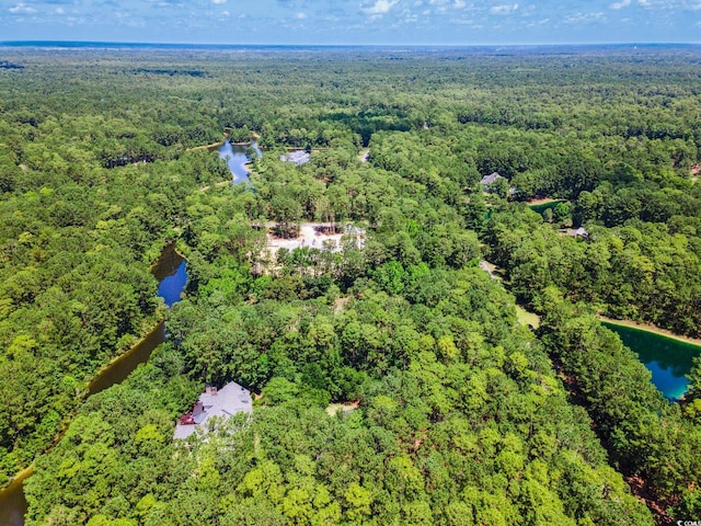 4198 Vanderbilt Blvd, Pawleys Island, SC 29585
