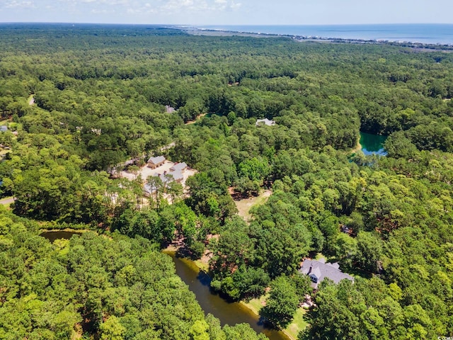 4198 Vanderbilt Blvd, Pawleys Island, SC 29585