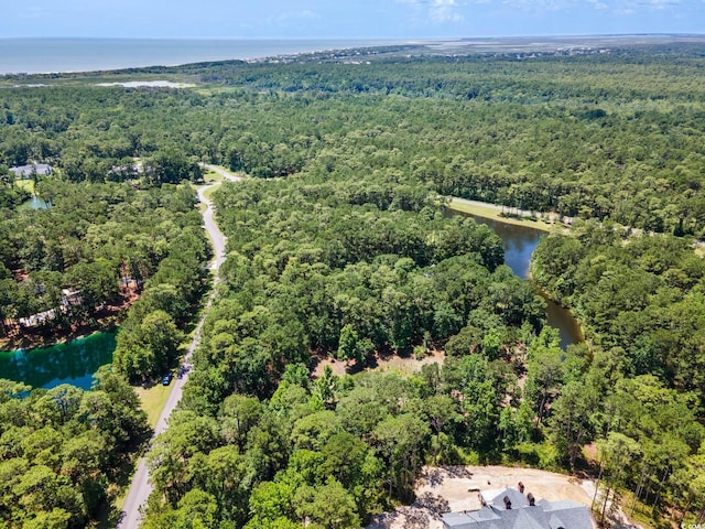 4198 Vanderbilt Blvd, Pawleys Island, SC 29585