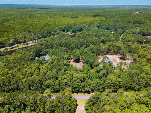 4198 Vanderbilt Blvd, Pawleys Island, SC 29585