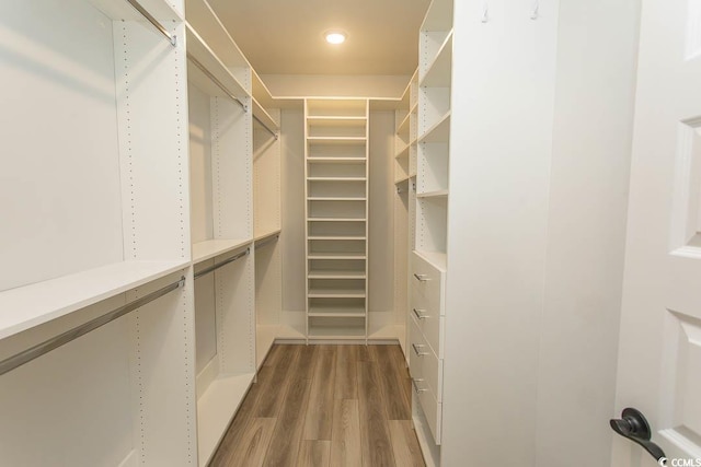 1514 Saw Palmetto St, North Myrtle Beach, SC 29582 - spacious closet with dark wood-type flooring