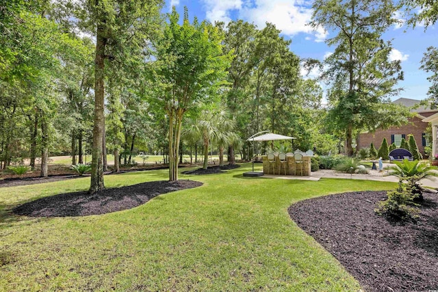 155 Preservation Cir, Pawleys Island, SC 29585 - view of green lawn with a patio