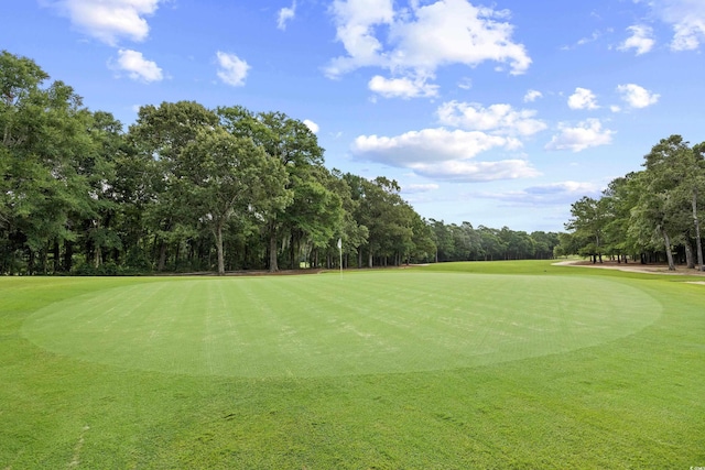 155 Preservation Cir, Pawleys Island, SC 29585 - view of home's community featuring view of scattered trees and view of golf course
