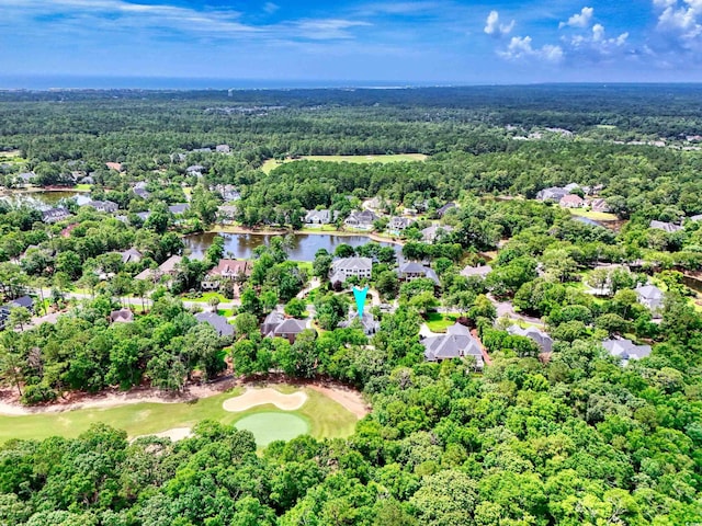 155 Preservation Cir, Pawleys Island, SC 29585 - aerial view of residential area with a nearby body of water and a golf club