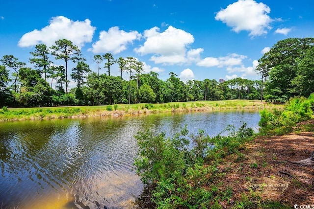 4570 Fringetree Dr, Murrells Inlet, SC 29576 - water view