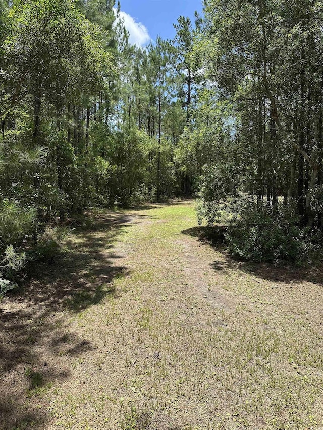 218 Samworth Loop, Georgetown, SC 29440