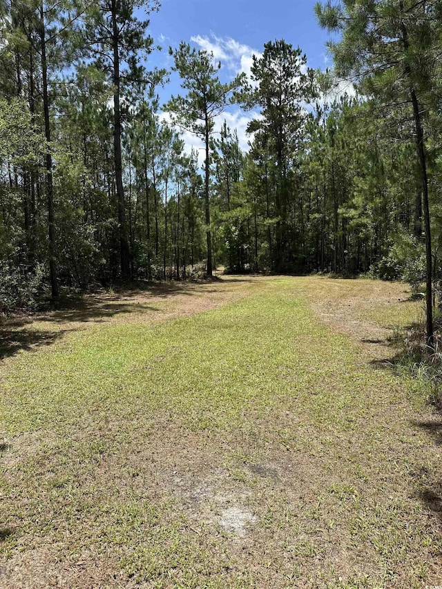 218 Samworth Loop, Georgetown, SC 29440