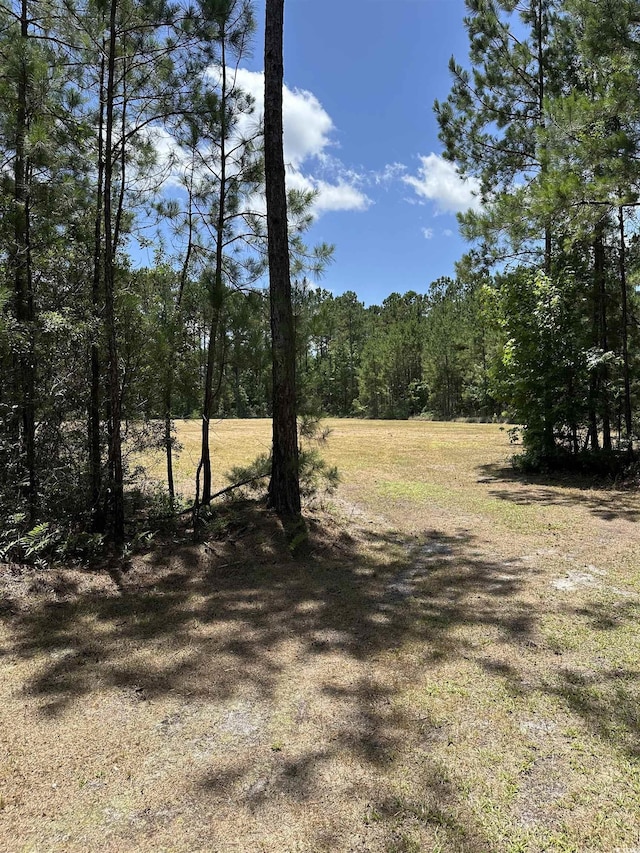 218 Samworth Loop, Georgetown, SC 29440