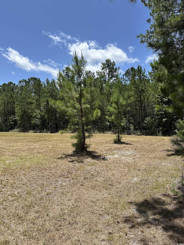 218 Samworth Loop, Georgetown, SC 29440