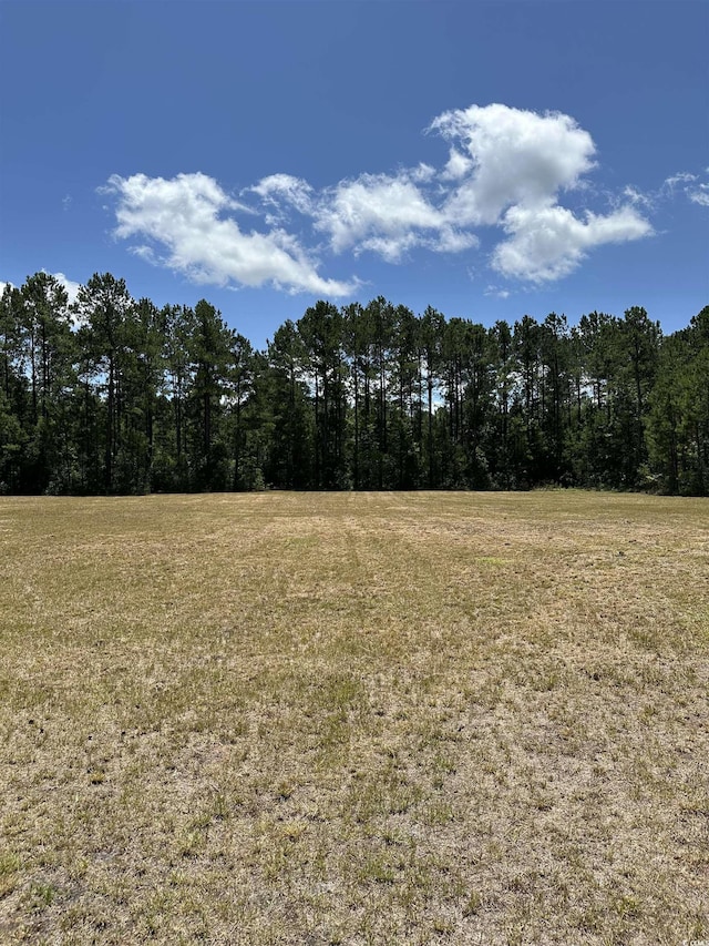 218 Samworth Loop, Georgetown, SC 29440