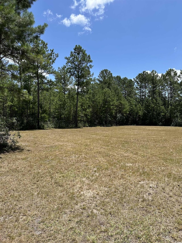 218 Samworth Loop, Georgetown, SC 29440