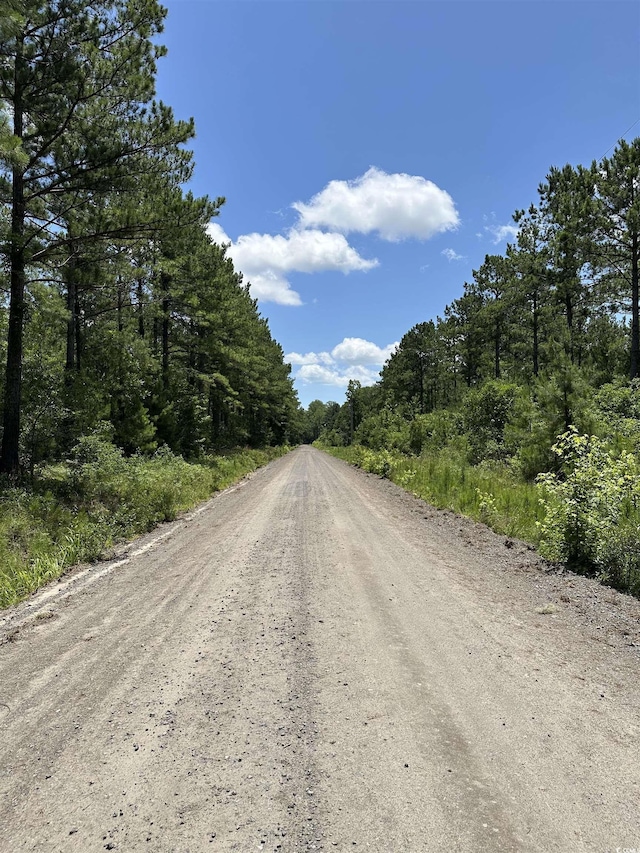 218 Samworth Loop, Georgetown, SC 29440