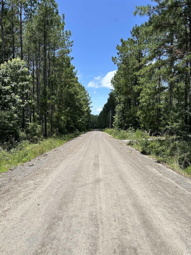 218 Samworth Loop, Georgetown, SC 29440
