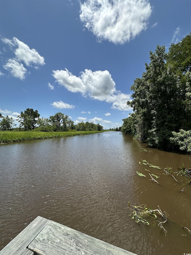 218 Samworth Loop, Georgetown, SC 29440