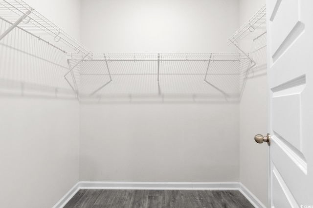 623 Harrison Mill St Unit 623, Myrtle Beach, SC 29579 - spacious closet featuring dark wood-style floors