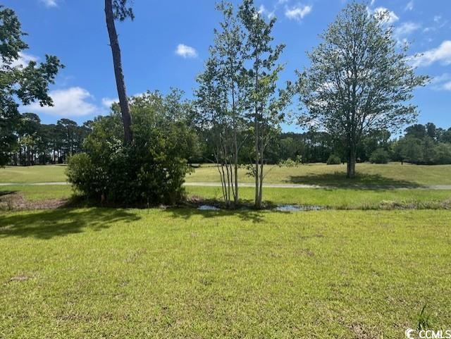 9723 Indigo Creek Blvd, Murrells Inlet, SC 29576 - view of grassy yard