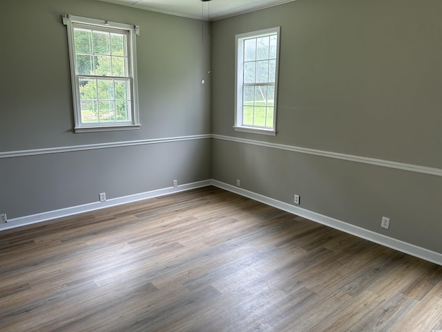 876 S Clay Field Rd, Johnsonville, SC 29555 - photo 3