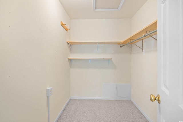 4554 Fringetree Dr, Murrells Inlet, SC 29576 - walk in closet with carpet flooring