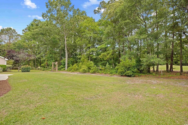 4554 Fringetree Dr, Murrells Inlet, SC 29576 - view of grassy yard