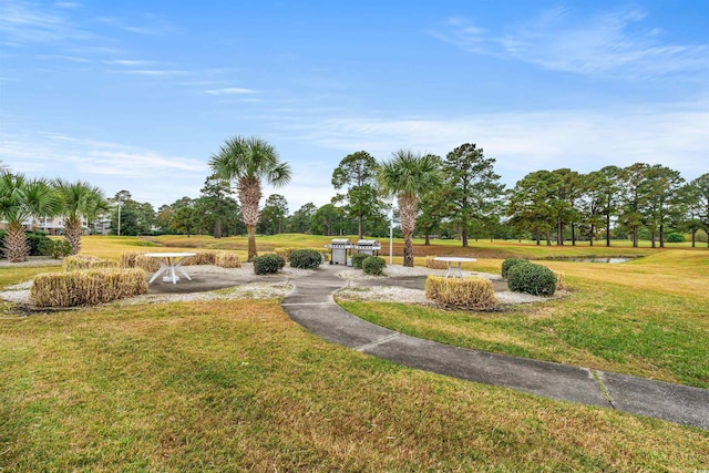 4846 Carnation Cir Unit 301, Myrtle Beach, SC 29577 - view of home's community featuring a lawn