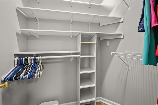 1984 Green Fern Ln Unit 1984, Myrtle Beach, SC 29579 - view of spacious closet