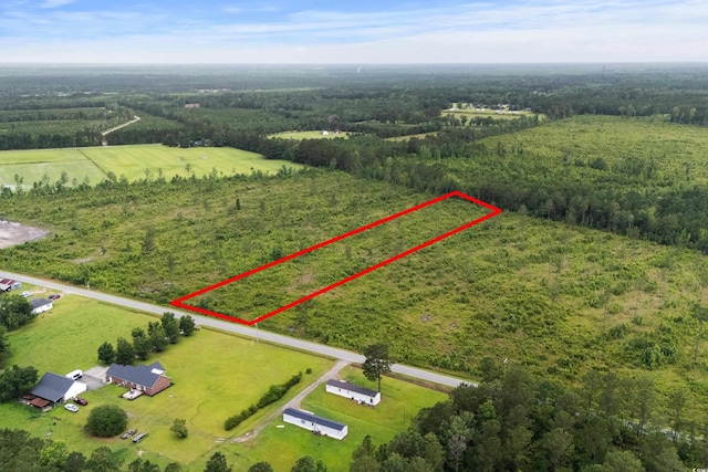 6190 Hendricks Short-Cut Rd, Conway, SC 29527 - photo 1