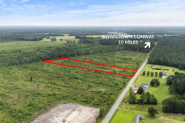 6190 Hendricks Short-Cut Rd, Conway, SC 29527 - photo 2