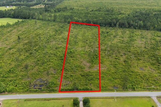 6190 Hendricks Short-Cut Rd, Conway, SC 29527 - photo 3