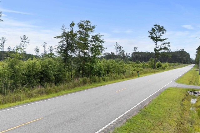 6190 Hendricks Short-Cut Rd, Conway, SC 29527 - photo 5