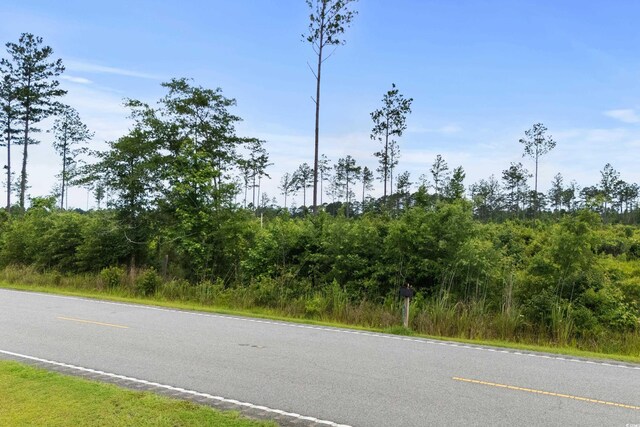 6190 Hendricks Short-Cut Rd, Conway, SC 29527 - photo 6