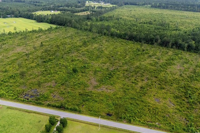 6190 Hendricks Short-Cut Rd, Conway, SC 29527 - photo 8