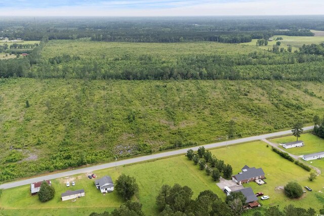 6190 Hendricks Short-Cut Rd, Conway, SC 29527 - photo 10