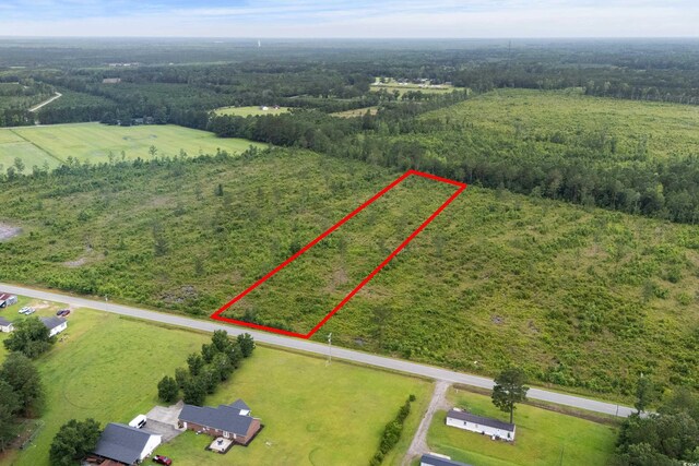6190 Hendricks Short-Cut Rd, Conway, SC 29527 - photo 11