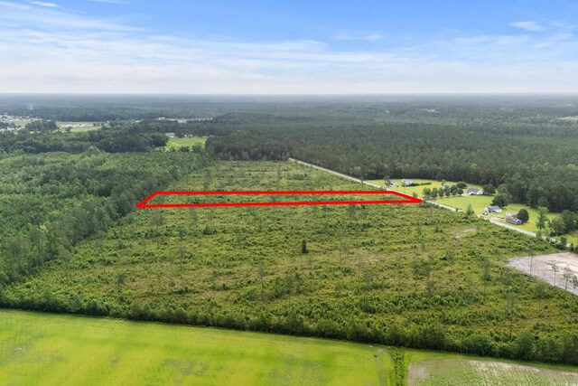 6190 Hendricks Short-Cut Rd, Conway, SC 29527 - photo 12
