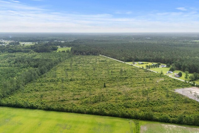 6190 Hendricks Short-Cut Rd, Conway, SC 29527 - photo 13