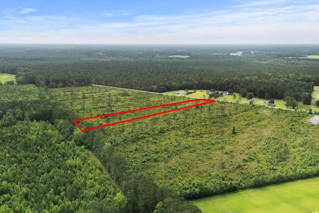 6190 Hendricks Short-Cut Rd, Conway, SC 29527 - photo 14