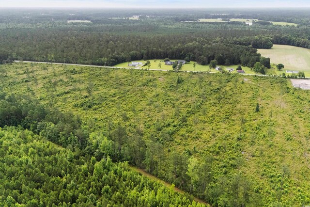 6190 Hendricks Short-Cut Rd, Conway, SC 29527 - photo 16
