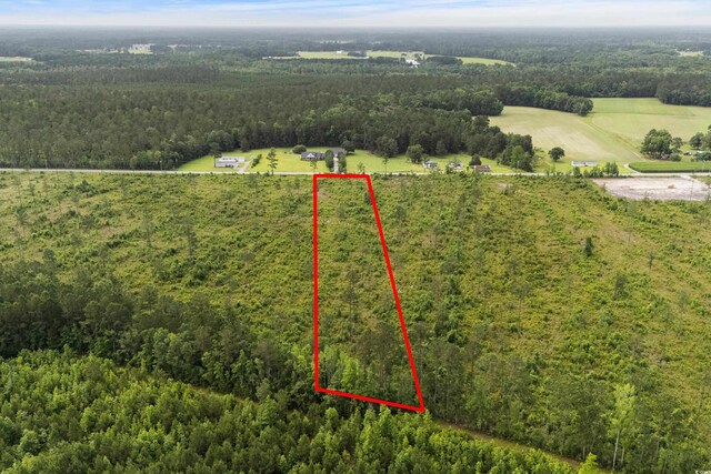6190 Hendricks Short-Cut Rd, Conway, SC 29527 - photo 17