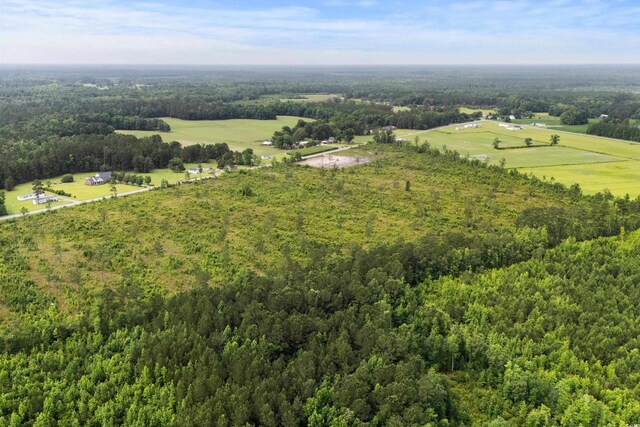 6190 Hendricks Short-Cut Rd, Conway, SC 29527 - photo 19