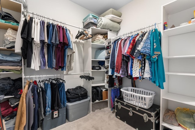 1029 Saltgrass Way, Myrtle Beach, SC 29588 - spacious closet featuring carpet
