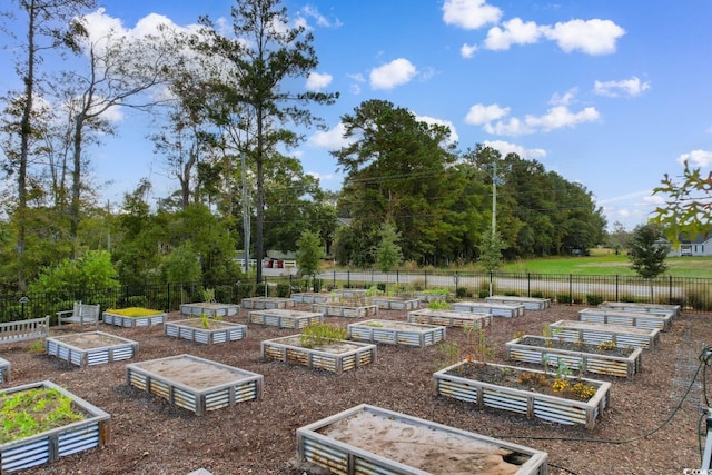 1029 Saltgrass Way, Myrtle Beach, SC 29588 - view of yard featuring a garden and view of wooded area