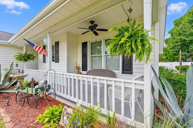 809 Berrywood Ct, Myrtle Beach, SC 29588 - photo 4