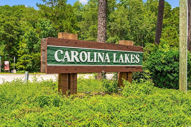 809 Berrywood Ct, Myrtle Beach, SC 29588 - photo 36