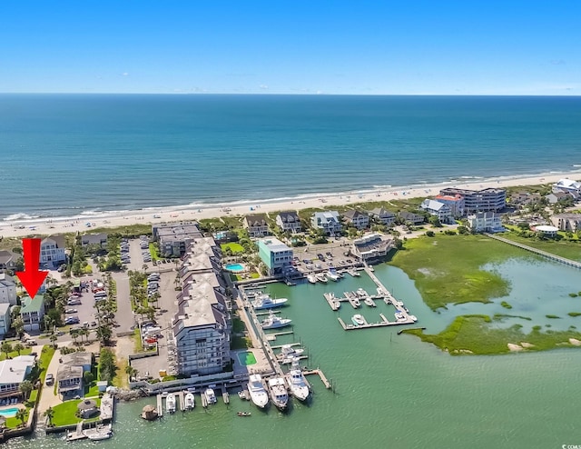1473 Basin Trl, Murrells Inlet, SC 29576 - aerial view of expansive coastline
