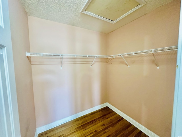 3978 Tybre Downs Cir Unit 3978, Little River, SC 29566 - spacious closet featuring dark wood-type flooring and attic access