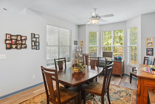 183 Glenwood Dr, Conway, SC 29526 - photo 18