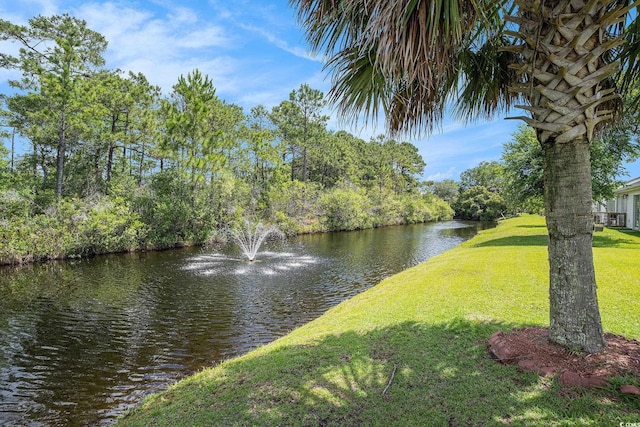 946 Wyndfall Dr, Sunset Beach, NC 28468 - photo 14